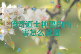 传奇道士神兽的伤害怎么设置