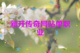 新开传奇网站单职业