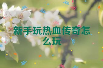 新手玩热血传奇怎么玩