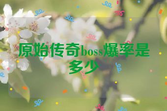 原始传奇boss爆率是多少