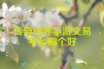 传奇世界手游交易平台哪个好