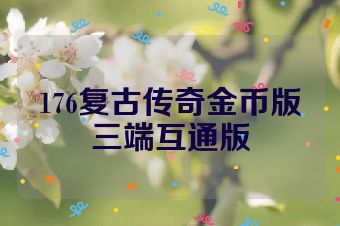 176复古传奇金币版三端互通版