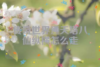 传奇世界通天塔八仙纵横怎么走