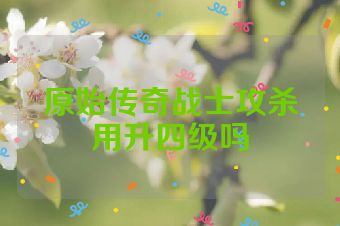 原始传奇战士攻杀用升四级吗