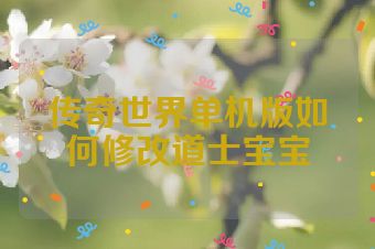 传奇世界单机版如何修改道士宝宝