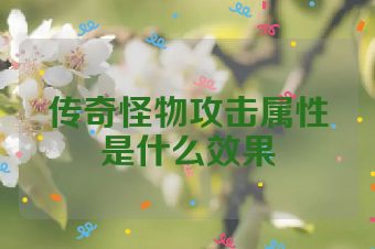 传奇怪物攻击属性是什么效果