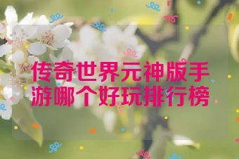 传奇世界元神版手游哪个好玩排行榜