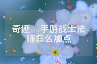 奇迹mu手游战士法师怎么加点