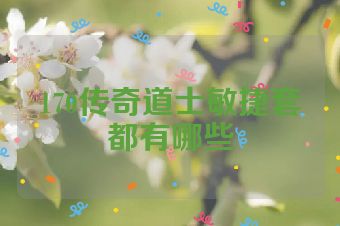 170传奇道士敏捷套都有哪些