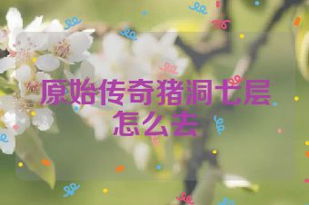 原始传奇猪洞七层怎么去