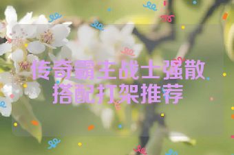传奇霸主战士强散搭配打架推荐