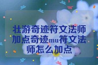 壮游奇迹符文法师加点奇迹mu符文法师怎么加点