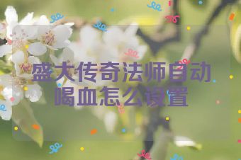 盛大传奇法师自动喝血怎么设置