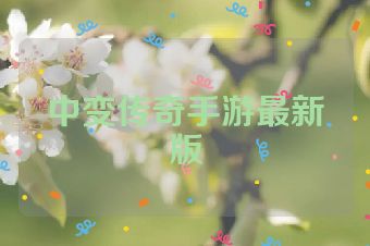 中变传奇手游最新版