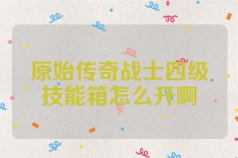 原始传奇战士四级技能箱怎么开啊