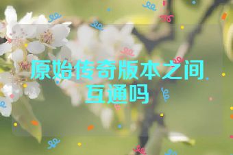 原始传奇版本之间互通吗