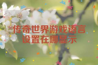 传奇世界游戏语言设置在哪显示