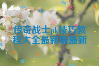 传奇战士pk技巧教程大全最新版最新