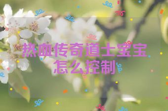 热血传奇道士宝宝怎么控制