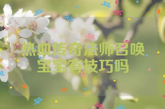 热血传奇法师召唤宝宝有技巧吗