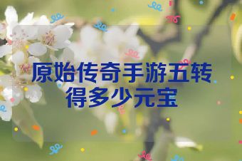 原始传奇手游五转得多少元宝