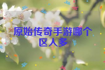 原始传奇手游哪个区人多