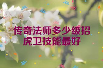 传奇法师多少级招虎卫技能最好