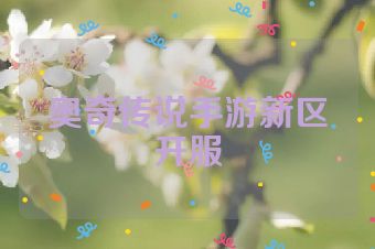 奥奇传说手游新区开服