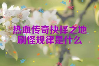 热血传奇抉择之地刷怪规律是什么