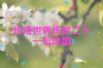 传奇世界炼狱二十一层地图