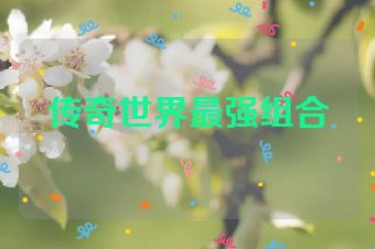 传奇世界最强组合