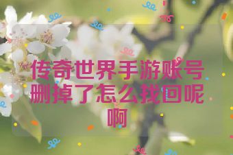 传奇世界手游账号删掉了怎么找回呢啊