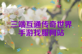 三端互通传奇世界手游找服网站