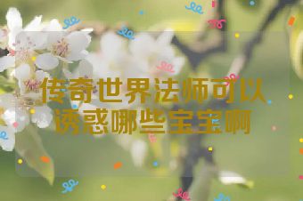 传奇世界法师可以诱惑哪些宝宝啊