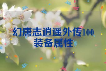 幻唐志逍遥外传100装备属性
