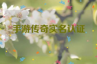 手游传奇实名认证