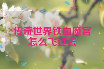 传奇世界铁血魔宫怎么飞过去