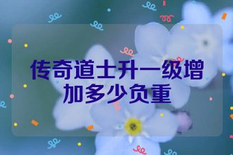 传奇道士升一级增加多少负重