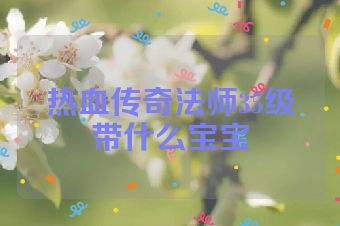 热血传奇法师35级带什么宝宝