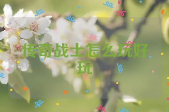 传奇战士怎么玩好玩