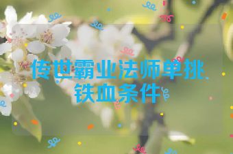 传世霸业法师单挑铁血条件