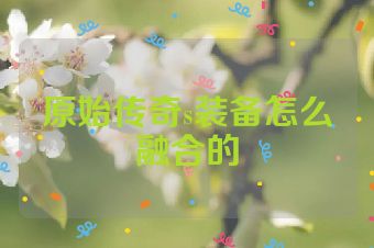 原始传奇s装备怎么融合的