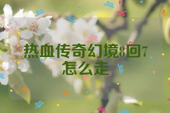 热血传奇幻境8回7怎么走