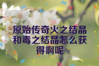 原始传奇火之结晶和毒之结晶怎么获得啊呢