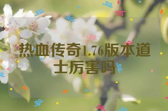 热血传奇1.76版本道士厉害吗