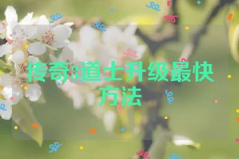 传奇3道士升级最快方法