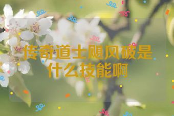 传奇道士飓风破是什么技能啊