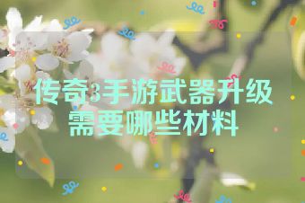 传奇3手游武器升级需要哪些材料