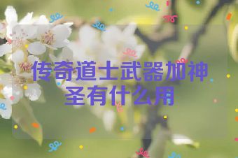 传奇道士武器加神圣有什么用