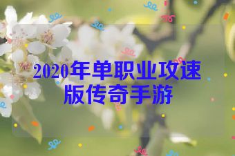 2020年单职业攻速版传奇手游